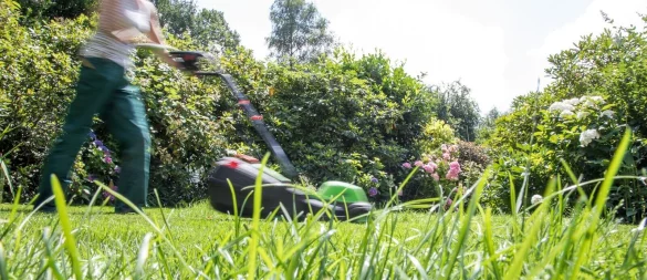Kurz getrimmt oder dichtes Gras? Für Gartenliebhaber und Gartenliebhaberinnen sowie für Tiere hat es viele Vorteile, wenn seltener gemäht wird. - © Christin Klose/dpa-tmn