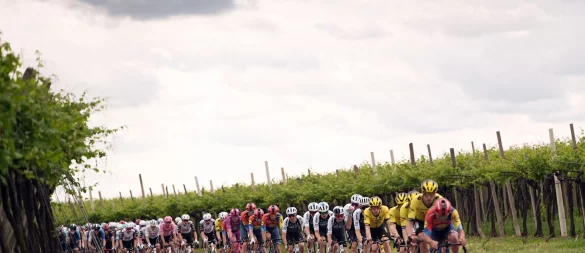 Die Fahrer auf der 13. des Giro d\\\'Italia. - © Marco Alpozzi/LaPresse/AP/dpa
