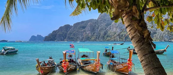 Rückkehr ins Paradies: Beliebte Tauchplätze rund um Ko Phi Phi öffnen wieder. - © Nadja Aumiller/dpa-tmn