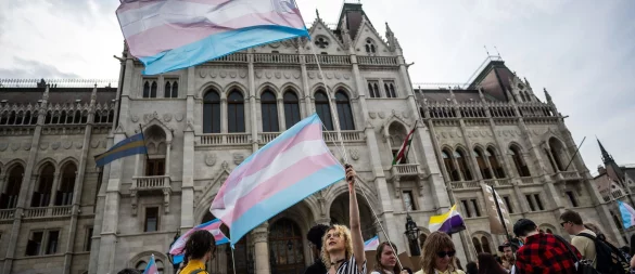 Fünf waagrecht verlaufende Streifen in den Farben Blau, Rosa und Weiß: Menschen schwenken bei einer Trans Pride Parade Transgender-Fahnen. - © Marton Monus/dpa
