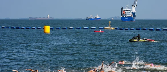 Die deutschen Schwimmerinnen verpassen im WM-Freiwasserrennen über zehn Kilometer die Medaillen. - © Vincent Thian/AP/dpa