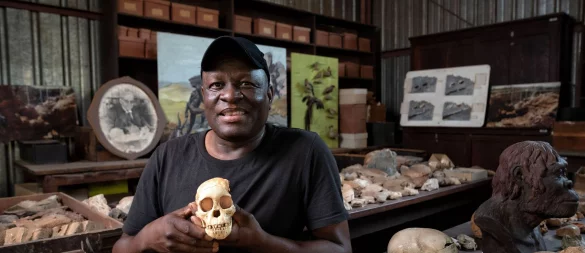 Nach der Wiedereröffnung der Sterkfontein Caves sollen Besucherinnen und Besucher einen noch direkteren Einblick in die wissenschaftliche Arbeit erhalten, die diesen Ort seit fast 100 Jahren prägt. - © Brett Eloff/Wits University/dpa-tmn