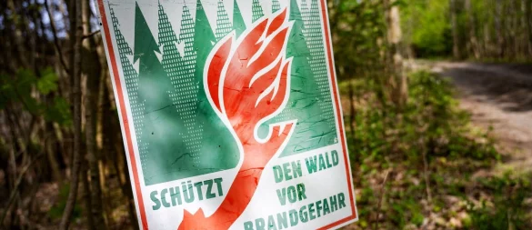 Höchste Alarmstufe im Wald: In Teilen Deutschlands gilt Gefahrenstufe 5 und schon ein Funke kann zur Katastrophe führen. - © Stefan Sauer/dpa