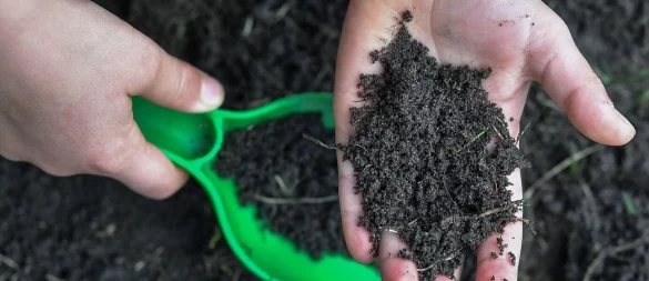 Klebrig? Formbar? Haftend? Die Fingerprobe kann Hinweise auf die Bodenart geben. - © Patrick Pleul/dpa/dpa-tmn