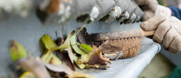 Herbstlaub kann Regenrinnen verstopfen: Eine regelmäßige Kontrolle und Reinigung sind wichtig. - © Kai Remmers/dpa-tmn