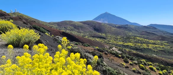 Der Berg Teide auf Teneriffa ist nur eines der Highlights der Kanarischen Inseln. - © Isabelle Modler/dpa-tmn