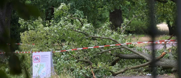 So sah es am 27. Juni im Neuen Garten in Potsdam aus. (Archivbild) - © Michael Bahlo/dpa