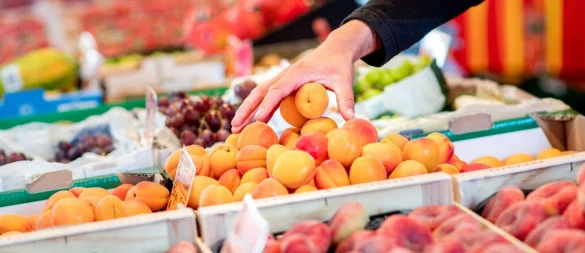 Perfekt reife Aprikosen haben ein saftiges Fruchtfleisch und ein süßsäuerliches Aroma. - © Hauke-Christian Dittrich/dpa/dpa-tmn