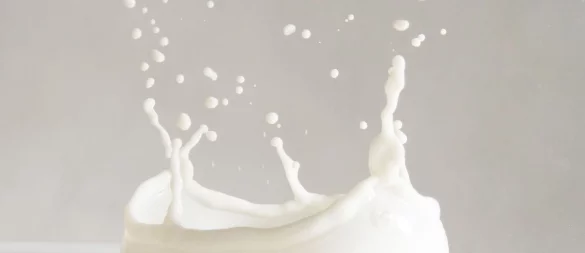 Unbehandelt klingt erst mal gut - doch für die gängigen Versprechen von Rohmilch gibt es keine wissenschaftlichen Belege. - © Franziska Gabbert/dpa-tmn
