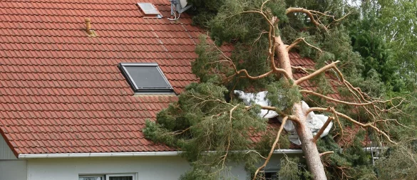 Nach einem Sturm sollte ein stark beschädigtes Wohngebäude erst nach Freigabe durch Fachleute wieder betreten werden - © Hendrik Schmidt/dpa/dpa-tmn