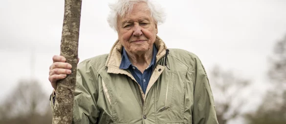 Sir David Attenborough, Naturforscher und Tierfilmer aus Großbritannien (Archivbild). - © Aaron Chown/PA Wire/dpa