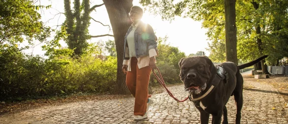 Ist die Wunschrasse erlaubt? Wann besteht Anleinpflicht? Hundebesitzer sollten sich mit den individuellen Regeln in ihrem Bundesland auseinandersetzen. - © Christin Klose/dpa Themendienst/dpa-tmn