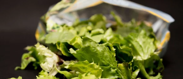 Vorgeschnittener Salat aus der Tüte kann mit Keimen belastet sein: Gründliches Waschen vor dem Verzehr ist wichtig, auch wenn „vorgewaschen“ auf der Verpackung steht. - © Robert Günther/dpa-tmn
