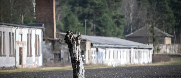 In der neuen Gedenkstättenkonzeption ist ein Schwerpunkt der Erhalt und die Sanierung historischer Orte. (Archivbild) - © Soeren Stache/dpa
