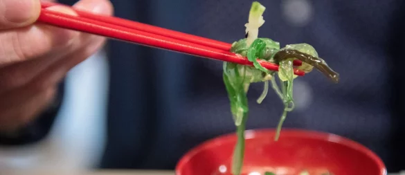 Viele Algenprodukte bieten keine klaren Angaben zum Jodgehalt: Verbraucher erhalten oft keine Orientierung zur sicheren Verzehrmenge. - © Andrea Warnecke/dpa-tmn