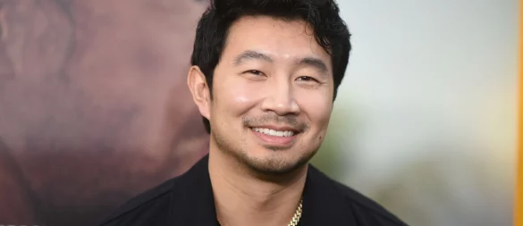 Hollywoodstar Simu Liu bekam beim Dreh seines Spionage-Thrillers einige Tritte ins Gesicht. (Archivbild) - © Richard Shotwell/Invision via AP/dpa