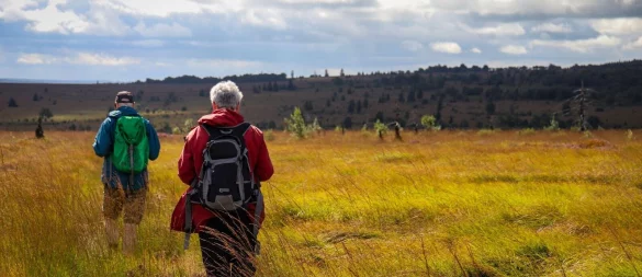 Ein Farbschauspiel, wenn der Himmel aufreißt: Die vielfältige Vegetation macht das Hochmoor so besonders. - © Deike Uhtenwoldt/dpa-tmn