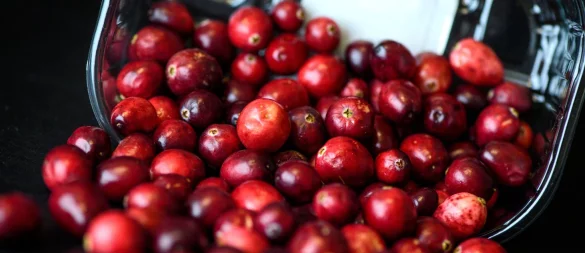 Kugelrund und leuchtend rot: Cranberrys haben aktuell Saison. - © Sina Schuldt/dpa-tmn