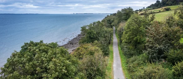 Am Wasser entlang: Der Weg führt entlang der Carlingford Lough, einer langgezogenen Bucht im Osten der Insel. - © Paul Lindsay/Tourism Ireland/dpa-tmn