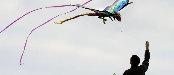 Drachen steigen zu lassen, soll eigentlich Spaß machen. Doch stürzt der Drachen ab und verletzt jemanden, hört der Spaß schnell auf - besonders, wenn die Privathaftpflicht nicht greift. - © Franziska Gabbert/dpa-tmn