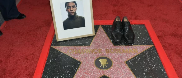 Im August 2020 starb der «Black Panther»-Star an Krebs. - © Richard Shotwell/Invision/AP/dpa