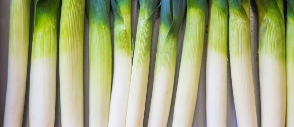 Bei der Frage, wie Lauch wirklich sauber wird, gehen die Meinungen auseinander. - © Robert Günther/dpa-tmn