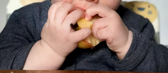 Ein ganzer Apfel ist für kleine Kinder zum Abnagen oft besser geeignet als Apfelstücke: Die Handhabung fällt leichter und das Verschluckrisiko sinkt. - © Zacharie Scheurer/dpa-tmn