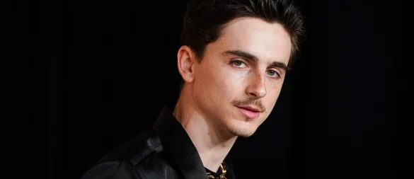 Timothée Chalamet noch keinen Oscar im Regal - das ärgert ihn. (Archivfoto) - © Jordan Strauss/Invision/AP/dpa