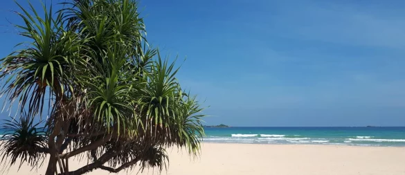 Um Urlaub in Sri Lanka zu machen, ist ein Visum erforderlich. Es empfiehlt sich, das Visum schon vorher online zu beantragen. - © Nathalie Helene Rippich/dpa-tmn