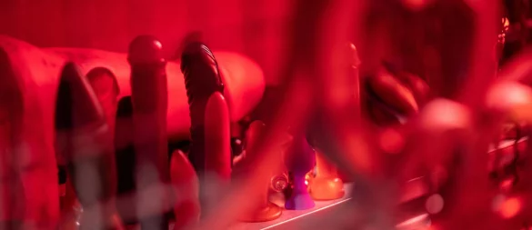 Vibratoren, Dildos, Analplugs: 19 Sextoys hat sich die Stiftung Warentest für ihre gleichnamige Zeitschrift genau angeschaut. - © Sebastian Gollnow/dpa/dpa-tmn