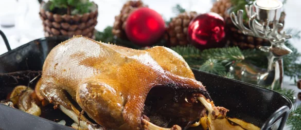 Wenn die Gans aus dem Ofen kommt, sollte sie erst einmal noch ruhen. - © Tobias Hase/dpa-tmn