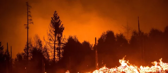 Wenn der Blick aus dem Hotelzimmer einen Waldbrand zeigt, ist an Erholung nicht mehr zu denken. - © Daniel Vogl/dpa/dpa-tmn