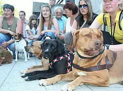 Besitzer zeigen Zähne - © Bad Salzuflen