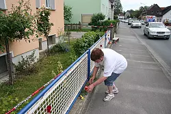 Zeichen der Anteilnahme: Christiane Ostrowski stellt vor dem Haus der Verstorbenen an der Bielefelder Straße ein Ewigkeitslicht auf und legt für ihre Enkelin eine Rose ab. Diese ist die Nichte des Opfers.