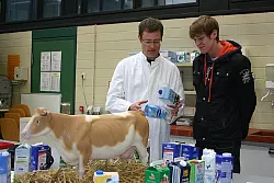 Milch ist nicht gleich Milch: Prof. Dr. med. vet. Matthias Upmann erkl&auml;rt Besucher Simon Fl&ouml;rkemeier die Inhaltsstoffe der Milch. Eine Empfehlung gab es f&uuml;r die Besucher des Hochschul-Infotages nicht &ndash; das ist reine Geschmackssache. - &copy; 