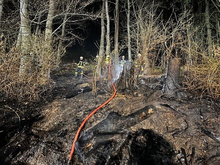 200 Quadratmeter Wald wurden durch das Feuer vernichtet. - © Feuerwehr Kalletal/Horst Brinkmann