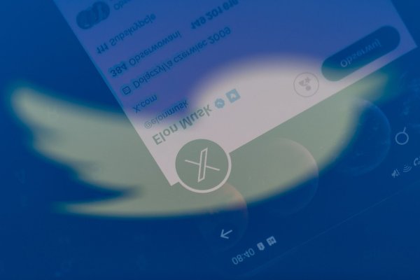 Musk kündigte an, dass der ikonische blaue Vogel aus dem Logo der Twitter-Website verschwinden wird. - © Mateusz Slodkowski/ZUMA Press Wire/dpa