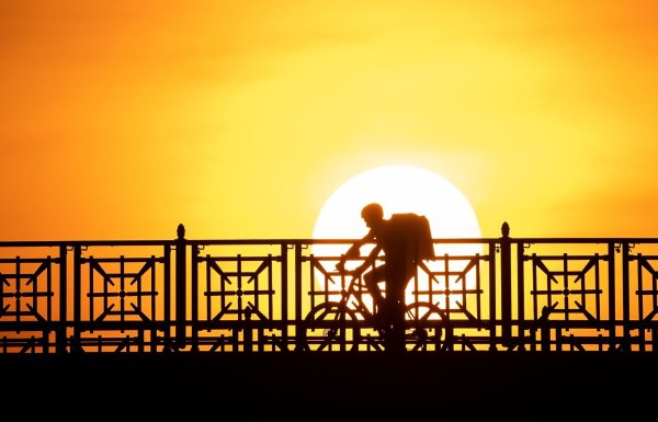 EU-weit könnten Lieferdienst- und Taxifahrer großer Online-Plattformen bald mehr Rechte bekommen. - © Sebastian Gollnow/dpa