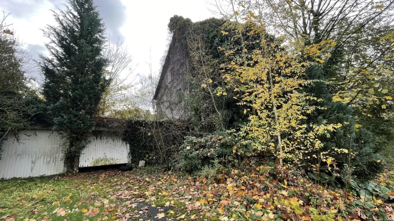 Vor 22 Jahren brannte die Pension Lesemann in Schieder ab. Das Grundst&uuml;ck ist so zugewuchert, dass die Ruine kaum noch zu sehen ist. - &copy; Silke Buhrmester