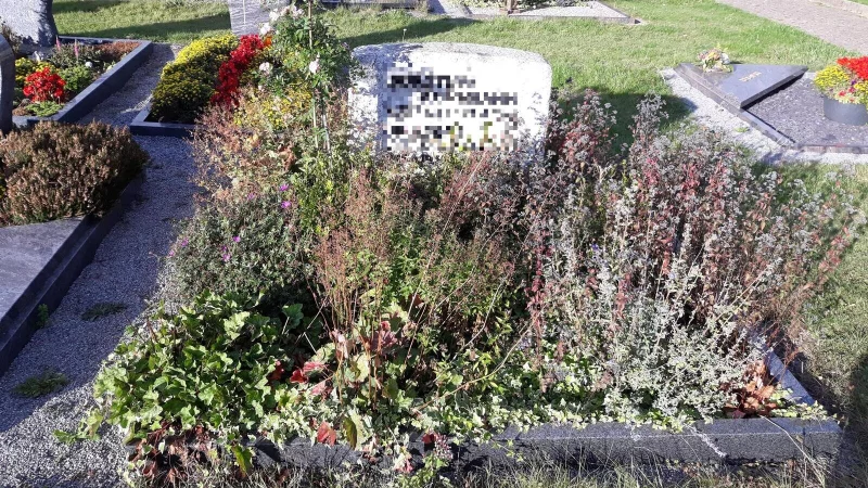 &Uuml;ppig mit Stauden bepflanzt ist das Grab auf dem Billerbecker Friedhof, das die Eheleute Kuhlmann pflegen. - &copy; Ellen Siegismund-Kuhlmann
