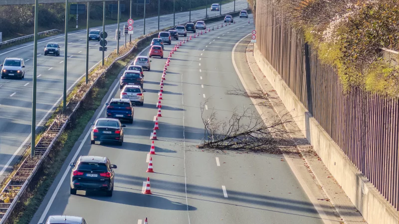 Zwei Spuren wurden für die Arbeiten gesperrt. Immer wieder liegt Grünschnitt auf der Fahrbahn. - © Andreas Zobe