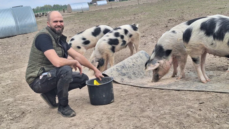 Zweimal am Tag werden die Schweine von Alexander Wellmann (37) gef&uuml;ttert. - &copy; Peter Heidbrink