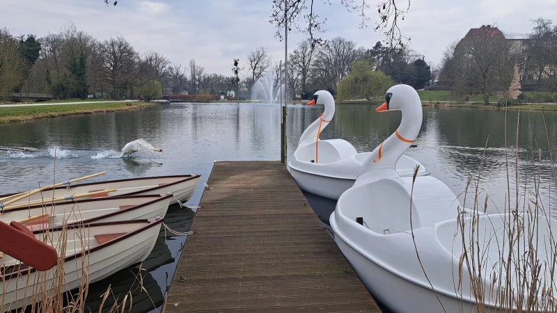 Der Verein "Arbeit, Werkstatt, Bildung" ist auch f&uuml;r die Boote auf dem Kurpark zust&auml;ndig. - &copy; Annika Langhagel