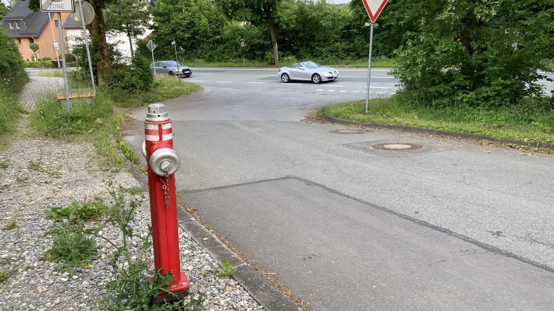 Um von der Straße "Schmales Feld" auf die Externsteiner Straße zu gelangen, bedarf es hoher Aufmerksamkeit. Die Sicht ist nach links auch durch hohe Gräser eingeschränkt. - © Cordula Gröne