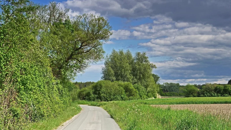 Die Stadt Lemgo l&auml;sst derzeit ein kommunales Wirtschaftswegekonzept erstellen. - &copy; Symbolbild: Pixabay