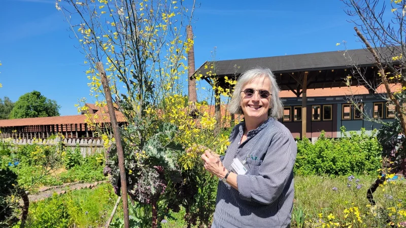 Die Lippische Palme hat Sabine Schierholz mit in den Museumsgarten gebracht. - © Vasco Stemmer