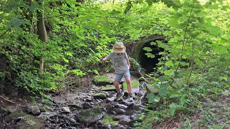 Rutschige Steine, unebene Wege: typische Gefahren im Wald und im Bach. Auch f&uuml;r Infrastruktur wie B&auml;nke soll das Haftungsrisiko reduziert werden. - &copy; Carolin Brokmann-F&ouml;rster
