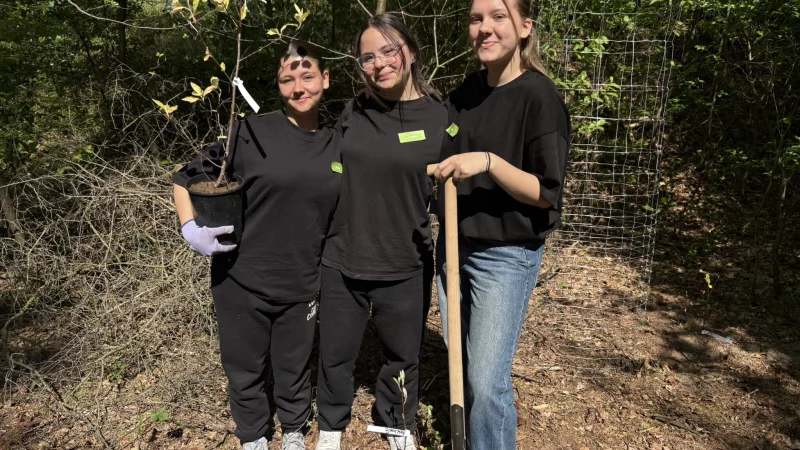Emilie Losowoj (von links), Luana Eraifej und Elina Friesen pflanzen ihren nächsten Baum im Zukunftswald der GNS in Augustdorf. - © Jan Schillmann
