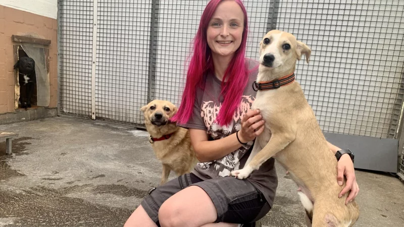 Tierpflegerin Jill Jansen freut sich, dass es den Hunden, die aus der gro&szlig;angelegten Beschlagnahmung in Porta nach Bielefeld gekommen sind, vergleichsweise gut geht. - &copy; Ivonne Michel