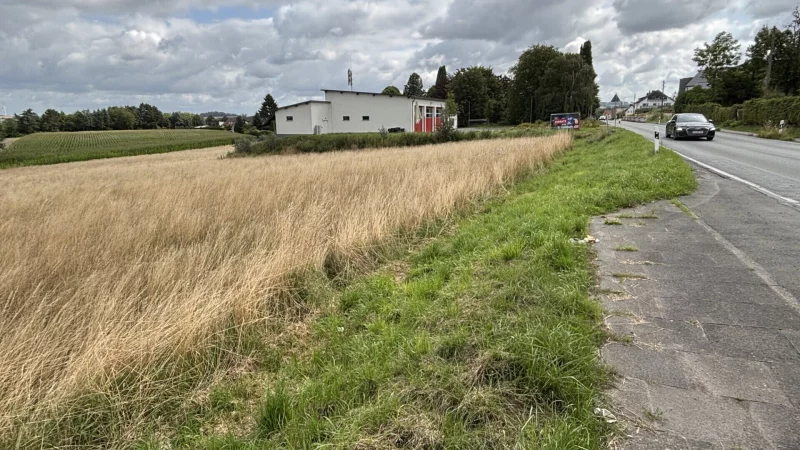 Auf diesem Feld an der Salzufler Straße soll nach dem Bebauungsplan der neue Supermarkt entstehen. Im Hintergrund ist das neue Feuerwehrgerätehaus Wüsten zu sehen. - © Thomas Reineke